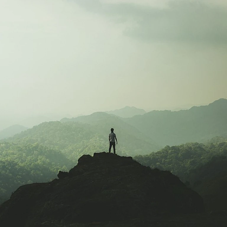 Mastering Financial Planning for a Successful Career Transition
