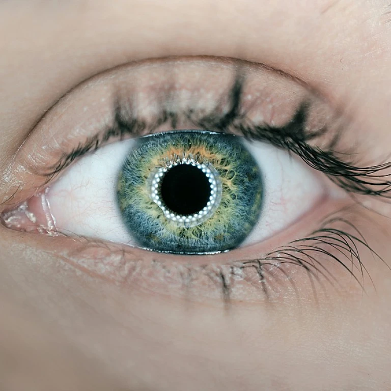 Navigating the Path to Becoming a 2L Summer Associate