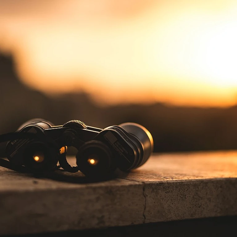 Navigating Career Transitions with Internal Investigations